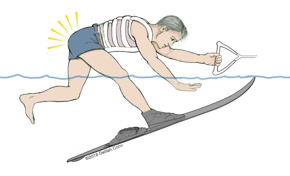 Hamstring Injuries Biceps Femoris Semitendinosus Semimembranosus